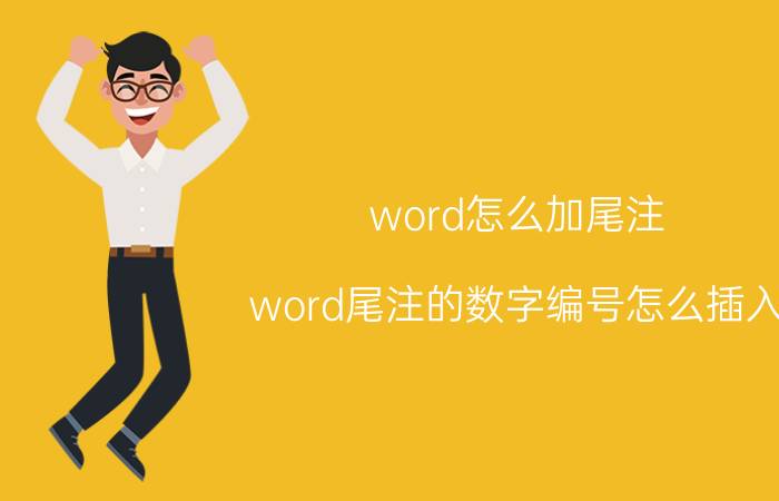 word怎么加尾注 word尾注的数字编号怎么插入？